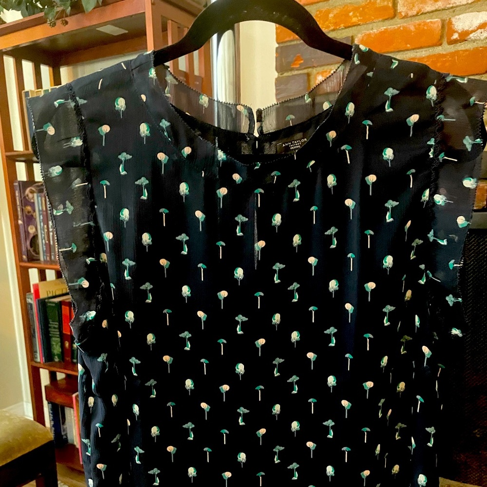 Women’s top LP.  Ann Taylor Factory.